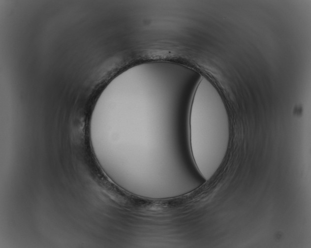 X0000091700308200708240940