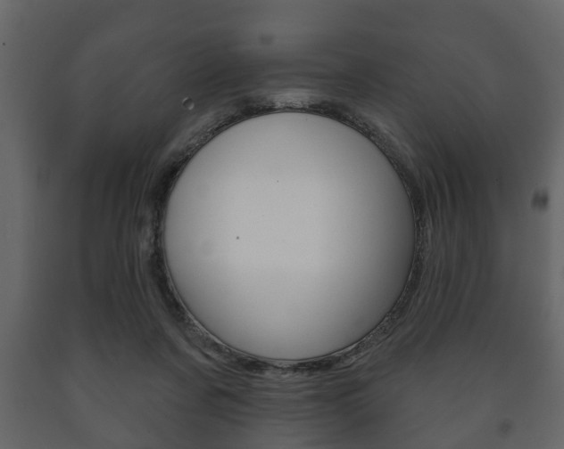 X0000091700311200708240940
