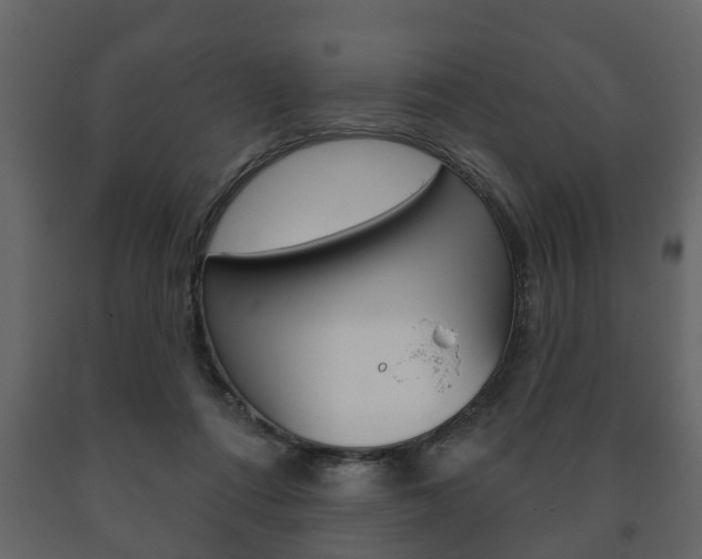 X0000091700312200708240940