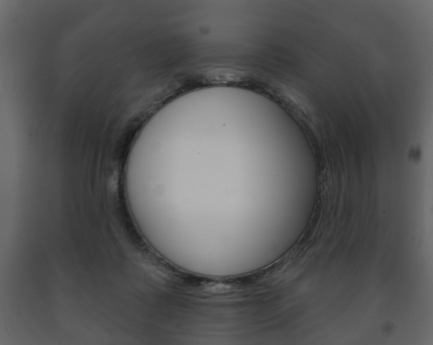 X0000091700315200708240940