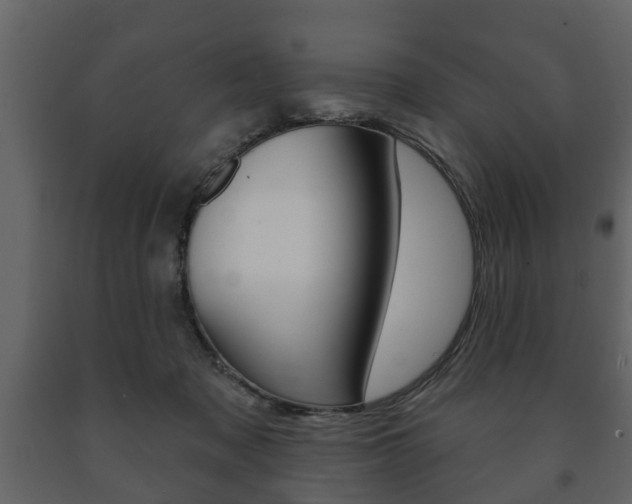 X0000091700317200708240940