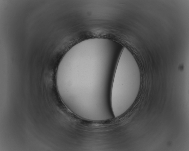 X0000091700319200708240940