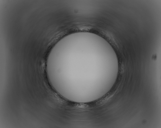X0000091700321200708240940