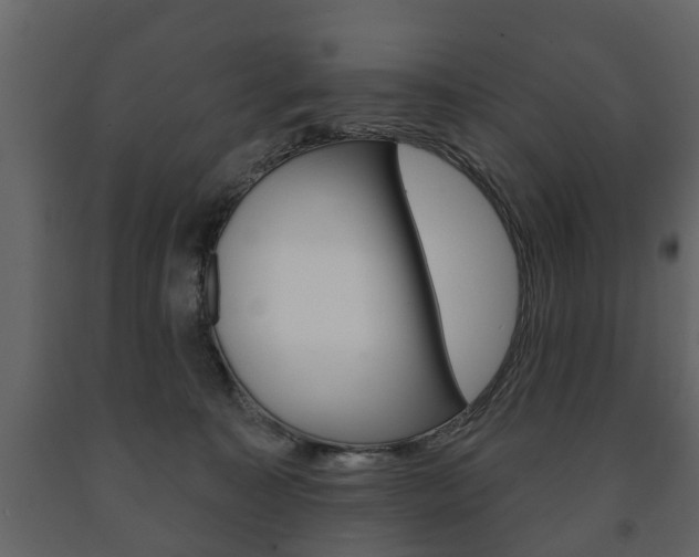 X0000091700323200708240940