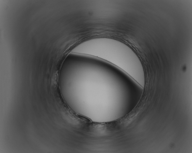 X0000091700325200708240940