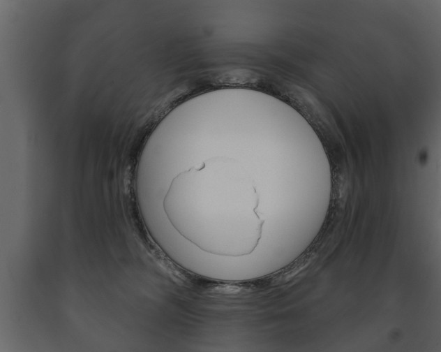 X0000091700326200708240940