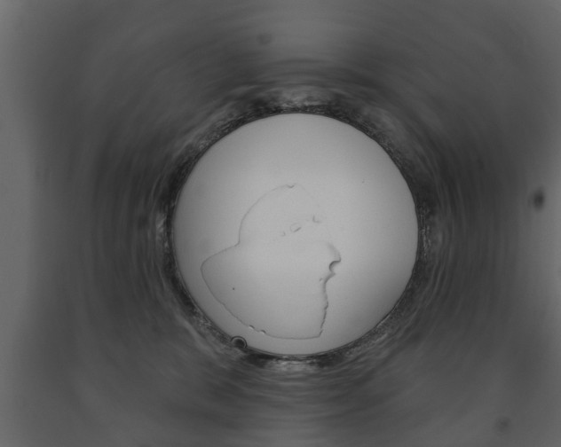 X0000091700327200708240940