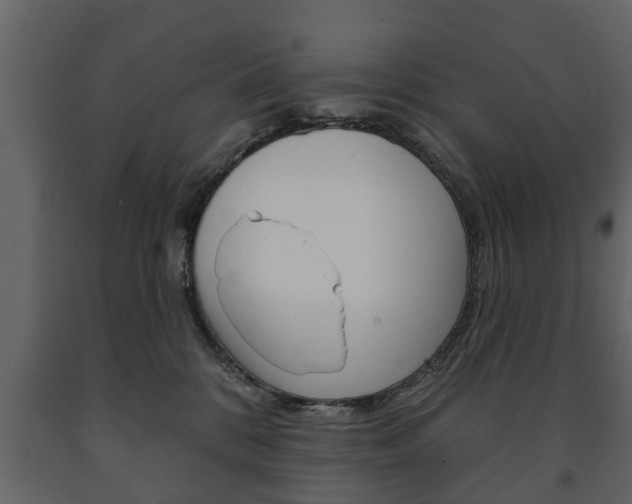 X0000091700328200708240940