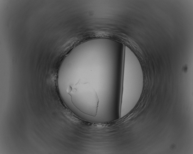X0000091700329200708240940