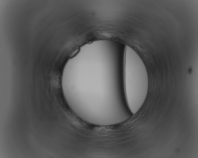 X0000091700331200708240940