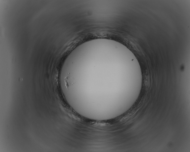 X0000091700332200708240940