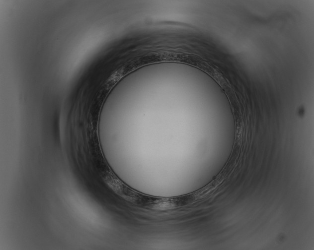 X0000091700335200708240940