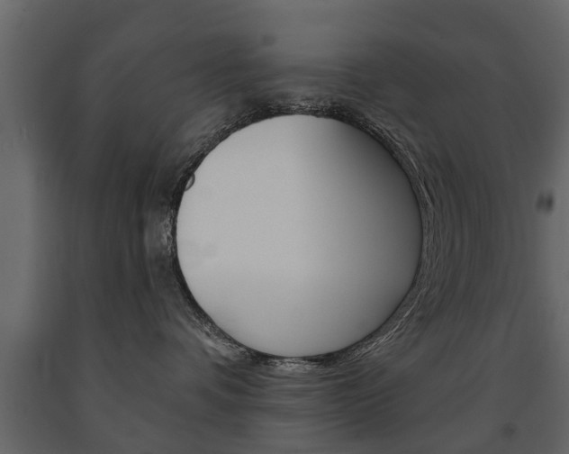 X0000091700336200708240940