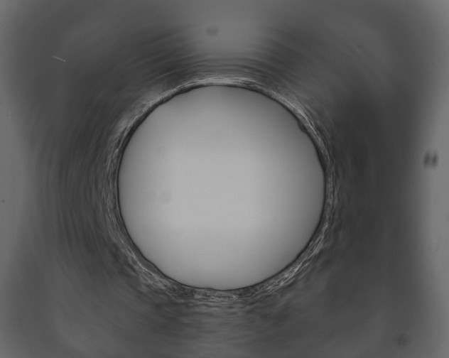 X0000091700337200708240939