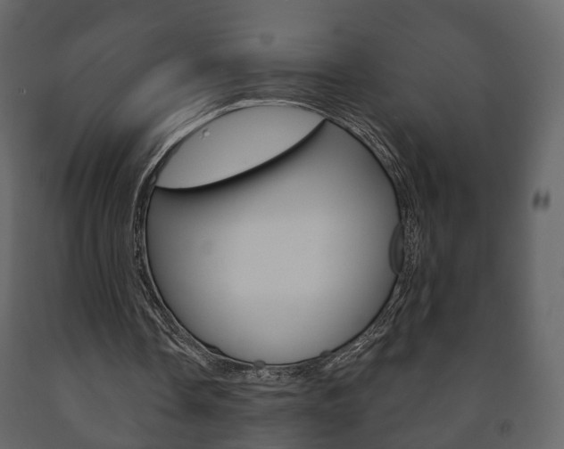 X0000091700338200708240939