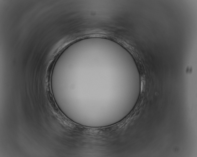 X0000091700339200708240939