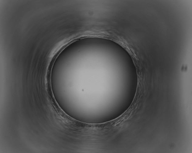 X0000091700340200708240939