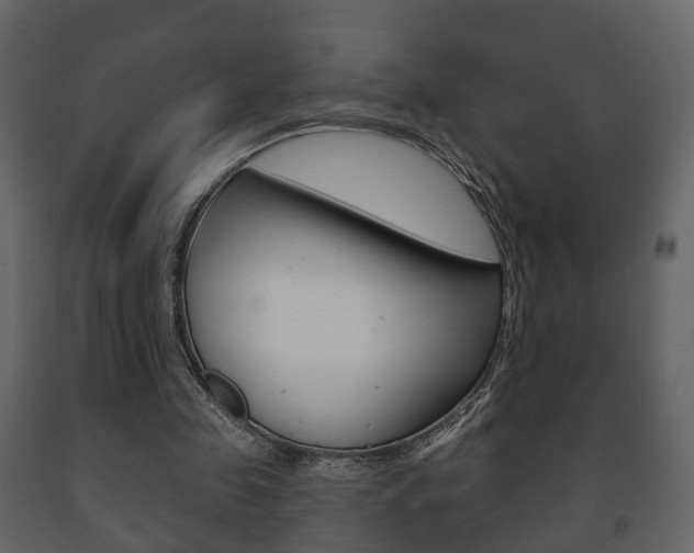 X0000091700341200708240939