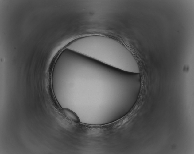 X0000091700342200708240939