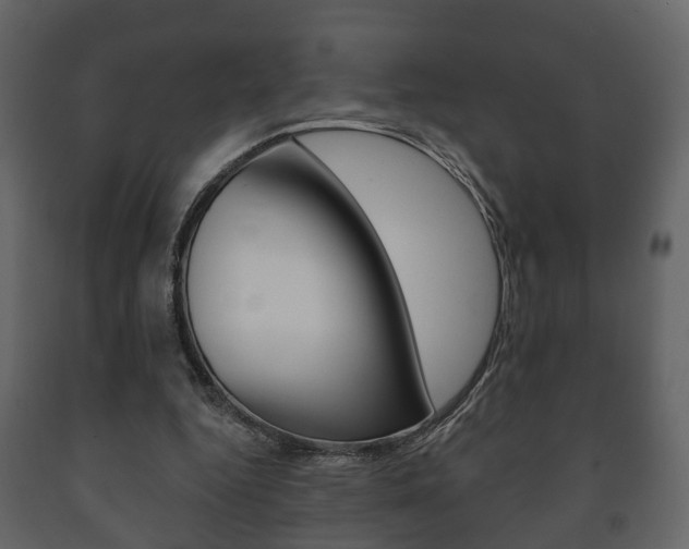 X0000091700344200708240939