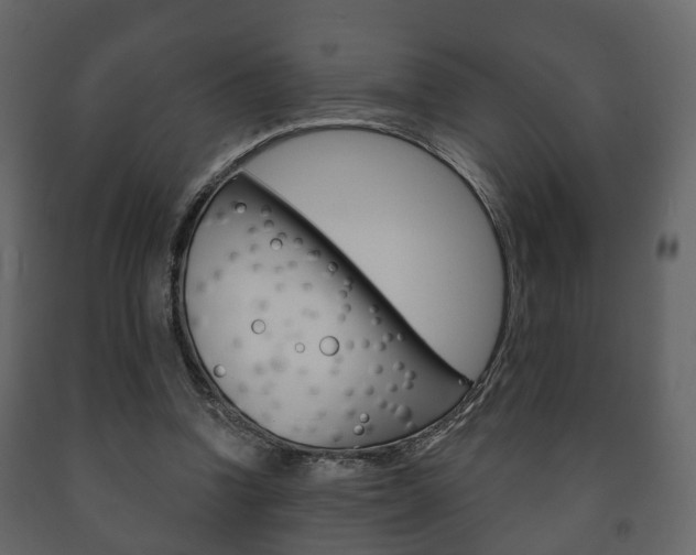X0000091700346200708240939