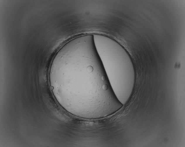 X0000091700347200708240939