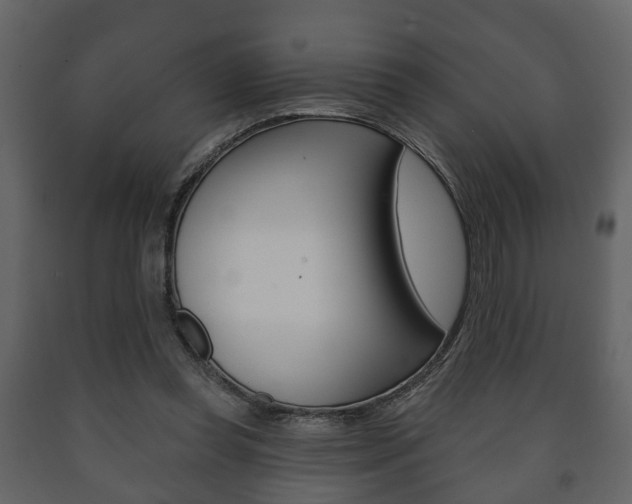 X0000091700349200708240939