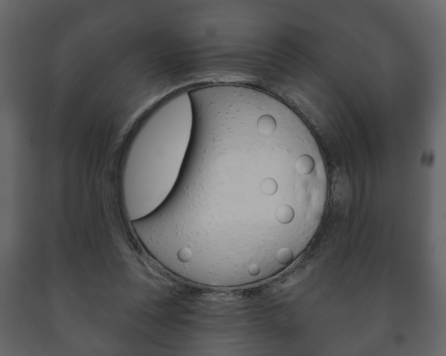 X0000091700351200708240939