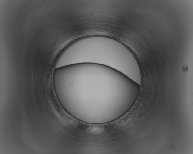 X0000091700352200708240939