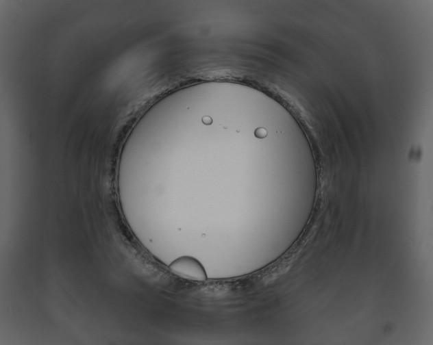 X0000091700353200708240939