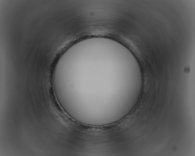 X0000091700354200708240939
