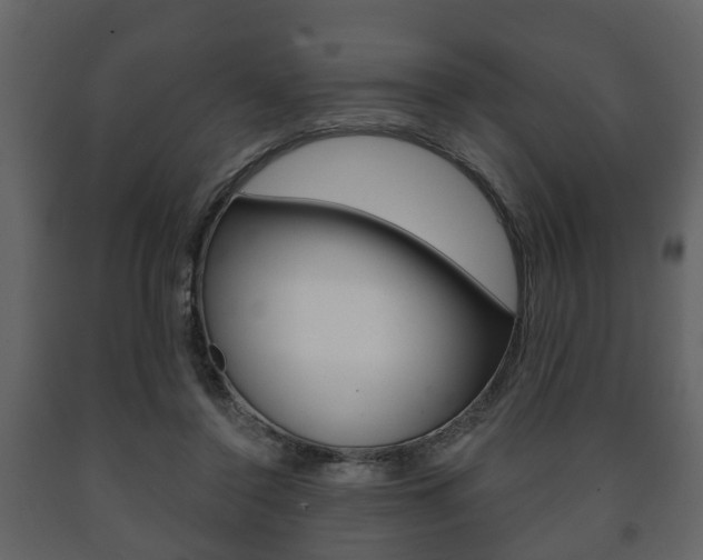 X0000091700356200708240939