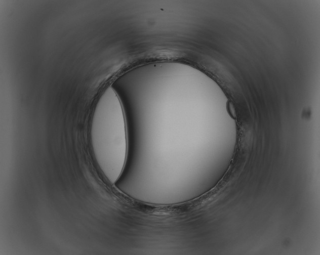 X0000091700358200708240939