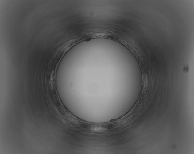 X0000091700360200708240939