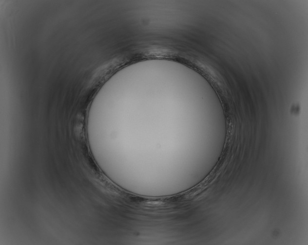 X0000091700361200708240939