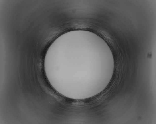 X0000091700362200708240939