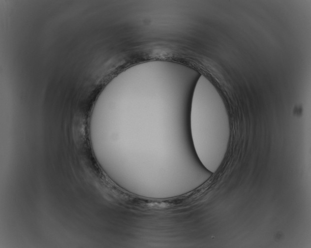 X0000091700363200708240939