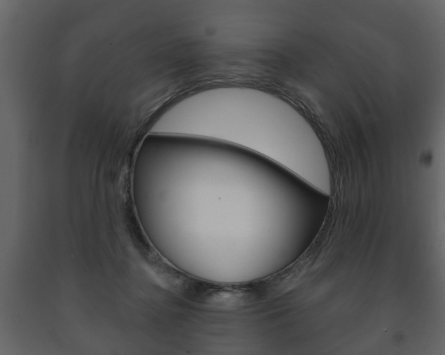 X0000091700364200708240939