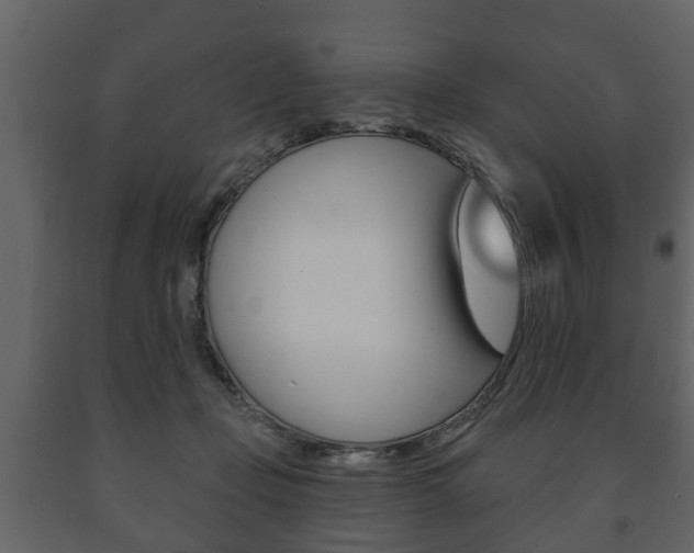 X0000091700365200708240939
