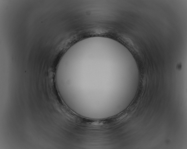 X0000091700366200708240939