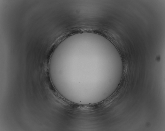 X0000091700367200708240939