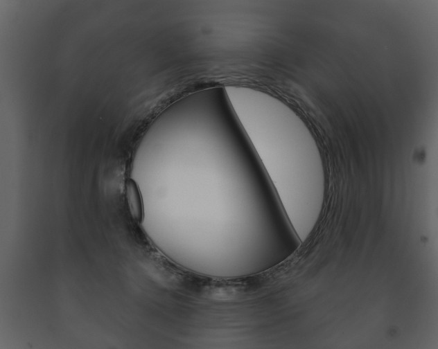 X0000091700368200708240939