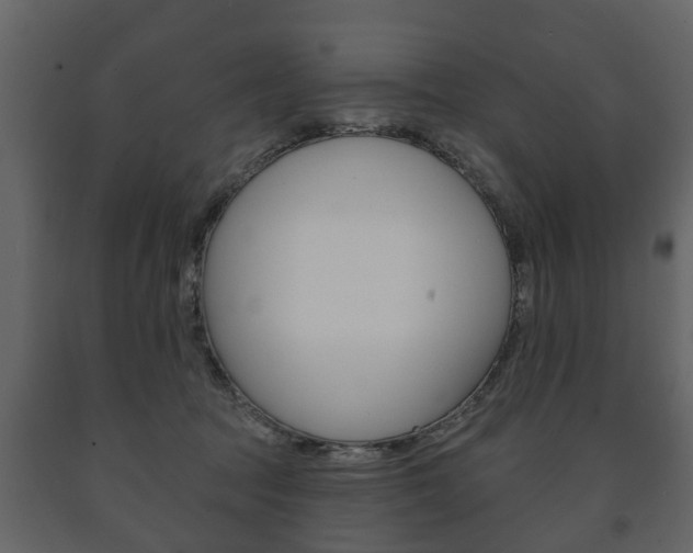 X0000091700369200708240939