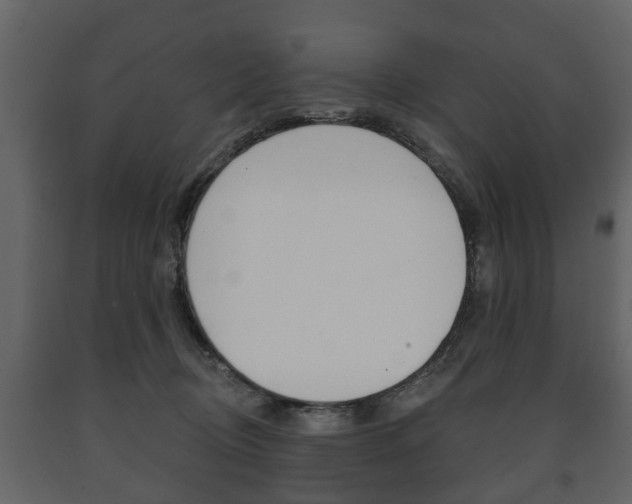 X0000091700370200708240939