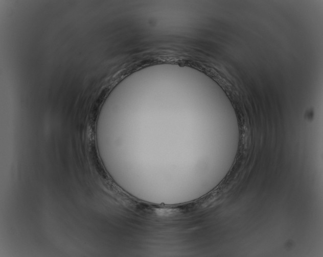 X0000091700371200708240939