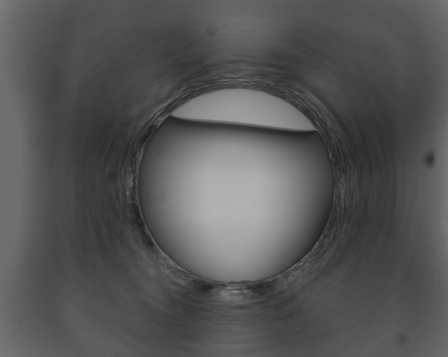 X0000091700372200708240939