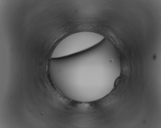 X0000091700374200708240939