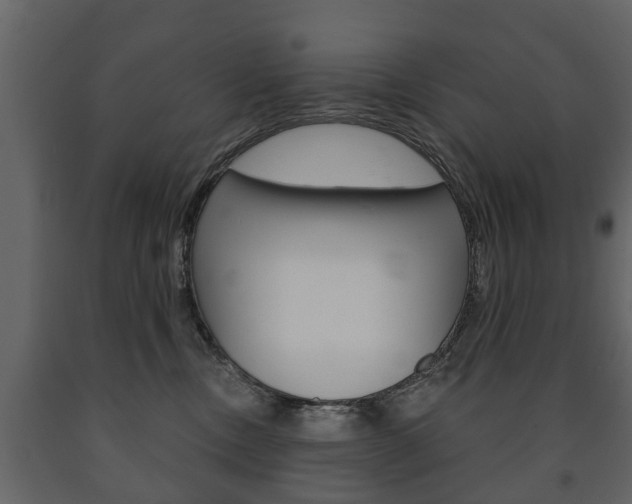 X0000091700378200708240940