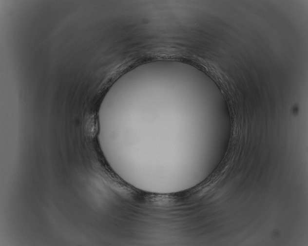 X0000091700383200708240940