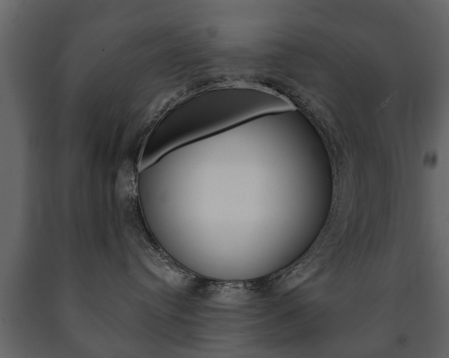 X0000091700384200708240940